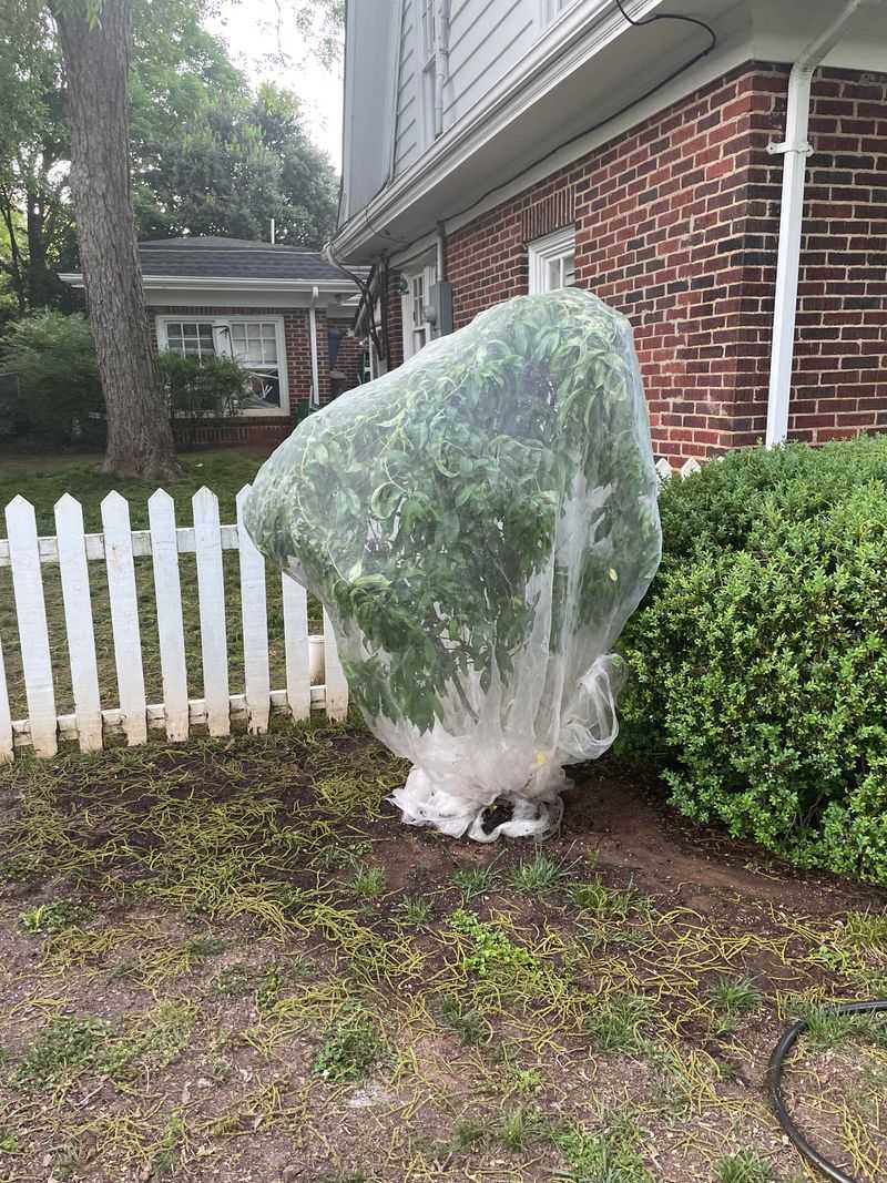 How To Prevent Future Problems