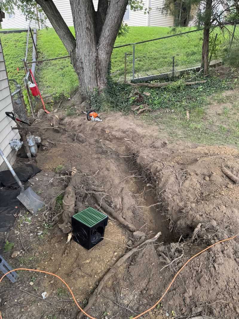 Legal Action As A Last Resort