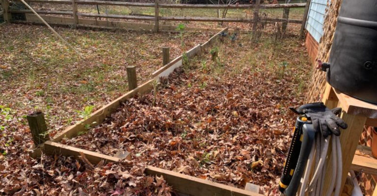 leaf mulch in bed