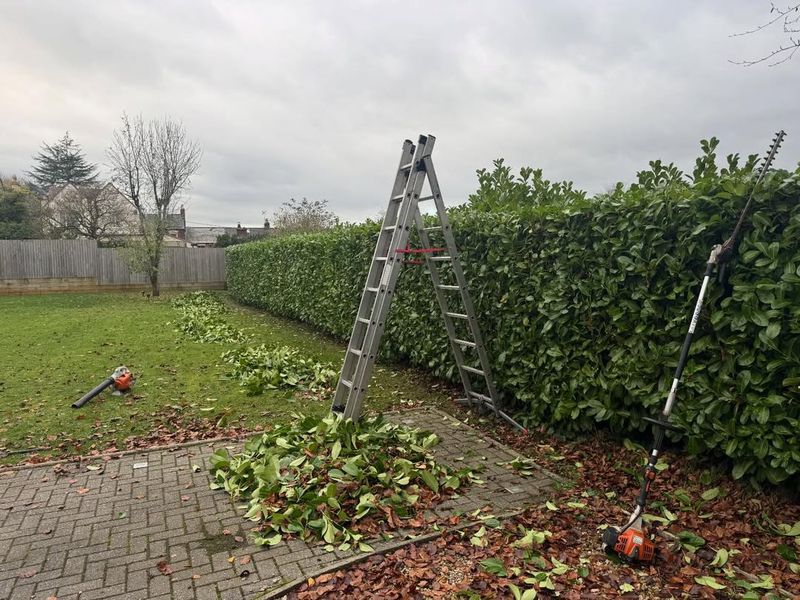 Why Cutting Too Much Can Get You Sued