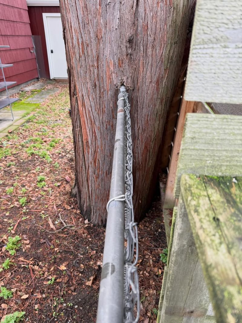 What Property Lines Mean For Tree Issues In Ohio