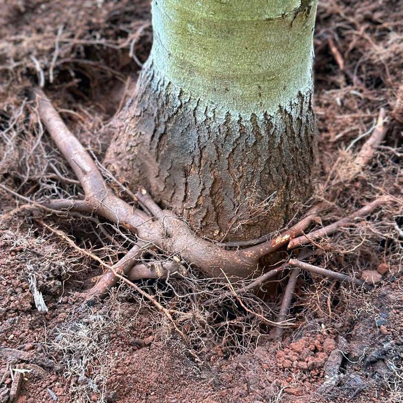 Signs That Suggest A Deeper Issue