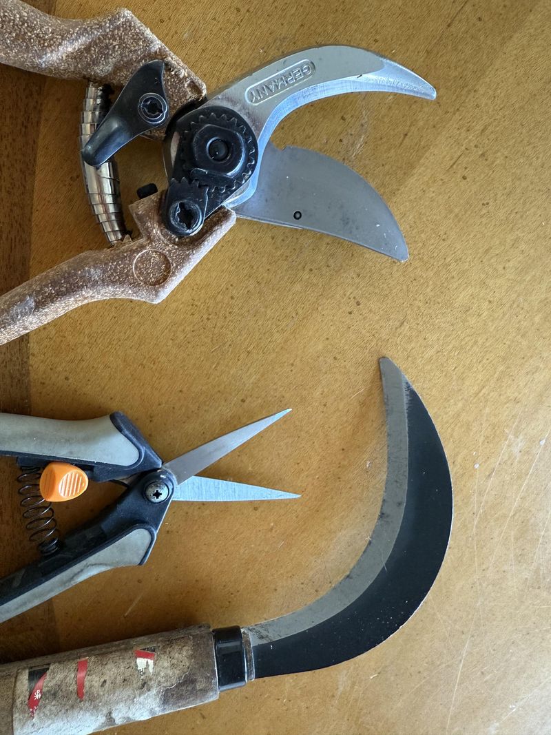 The Simple Way Garden Tools Get Cleaner Faster