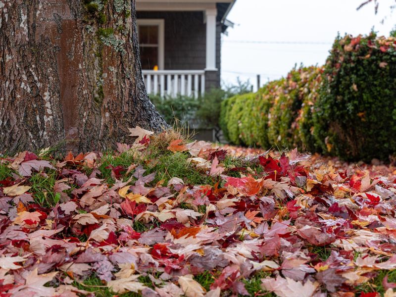 Homeowners Association Rules And Leaf Responsibility