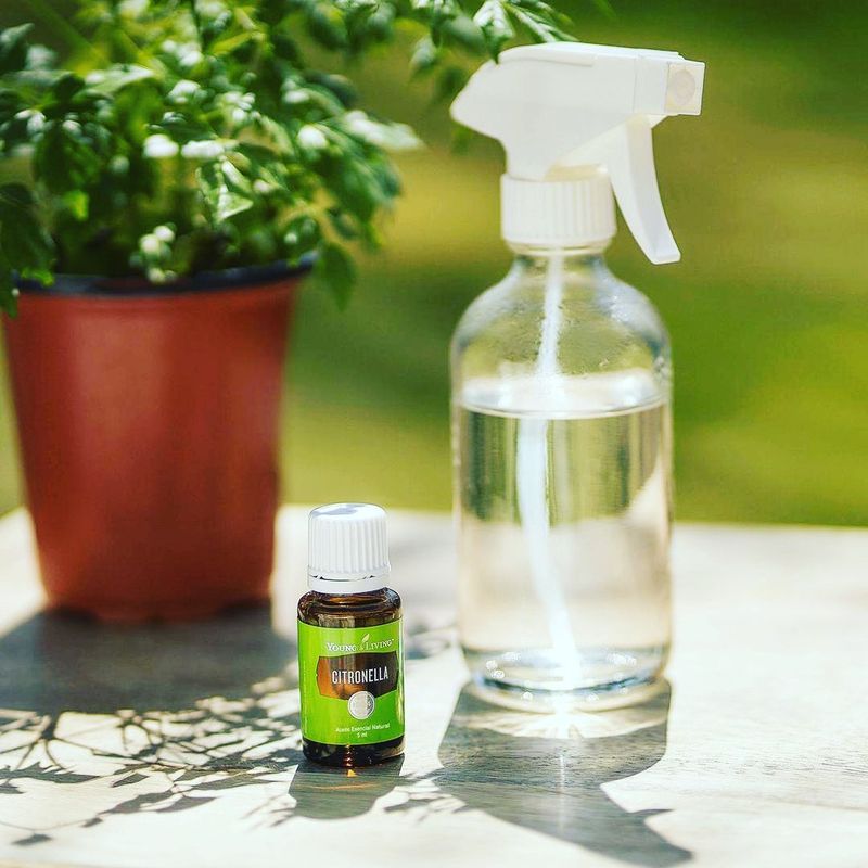 How Temperature Affects Spray Safety