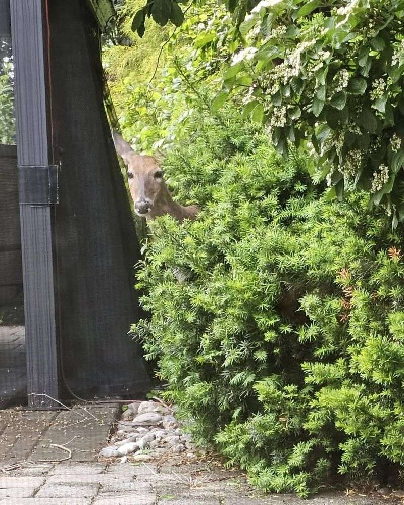 What Pennsylvania Homeowners Should Keep In Mind