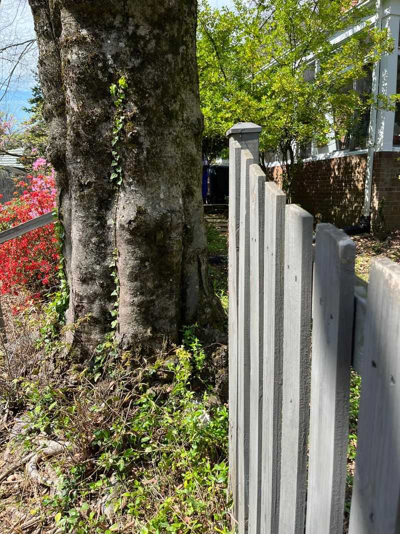 Small Claims Court May Be The Final Option