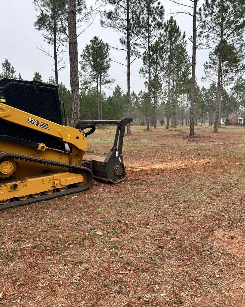 When Soil Health Or Lawn Growth Is Impacted