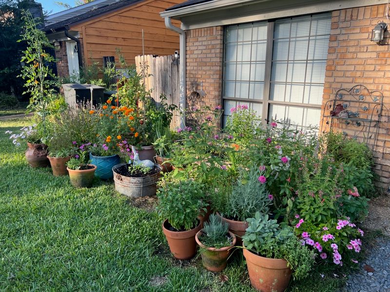 North Florida Weather Plays By Different Rules