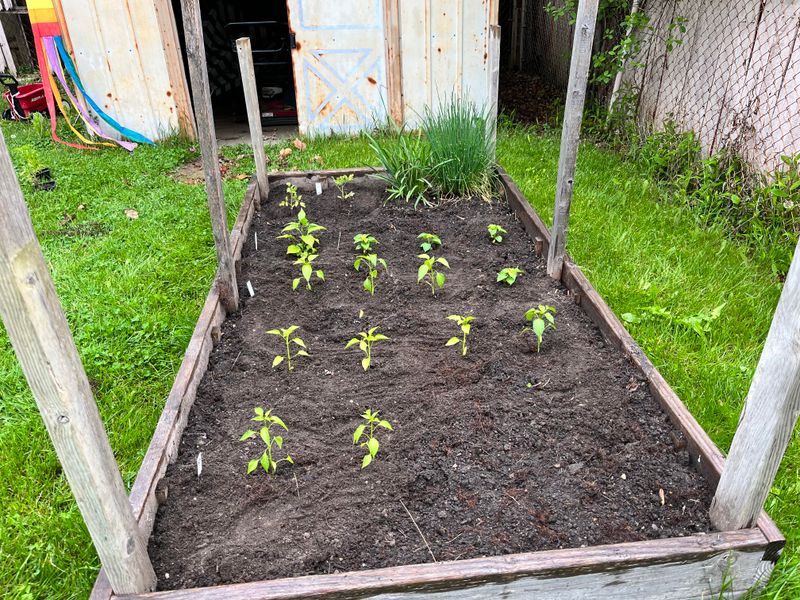 Soil Amendments That Improve Sandy Florida Soil