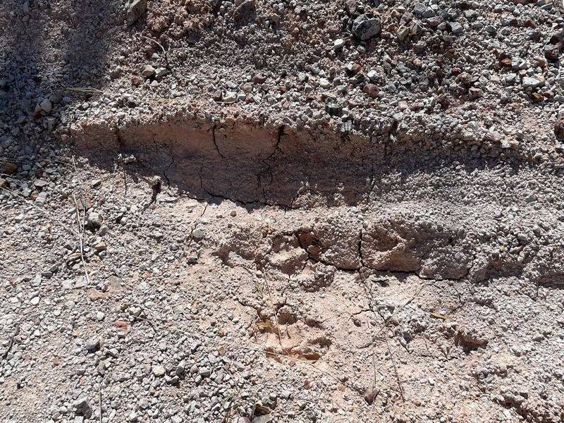 How Soil Type Impacts Winter Watering Decisions