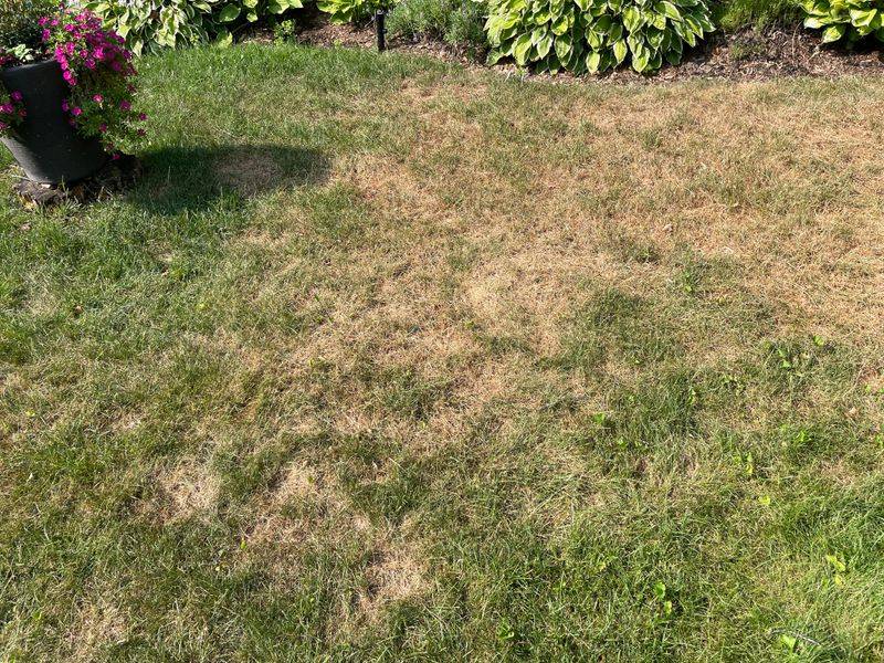 When Winter Watering Causes Problems