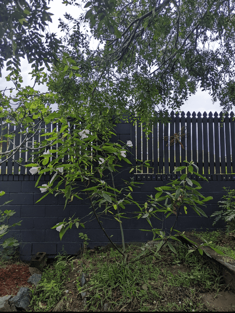 What You Are NOT Allowed To Do