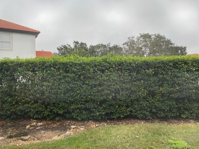 What You Cannot Do Without Your Neighbor's Permission