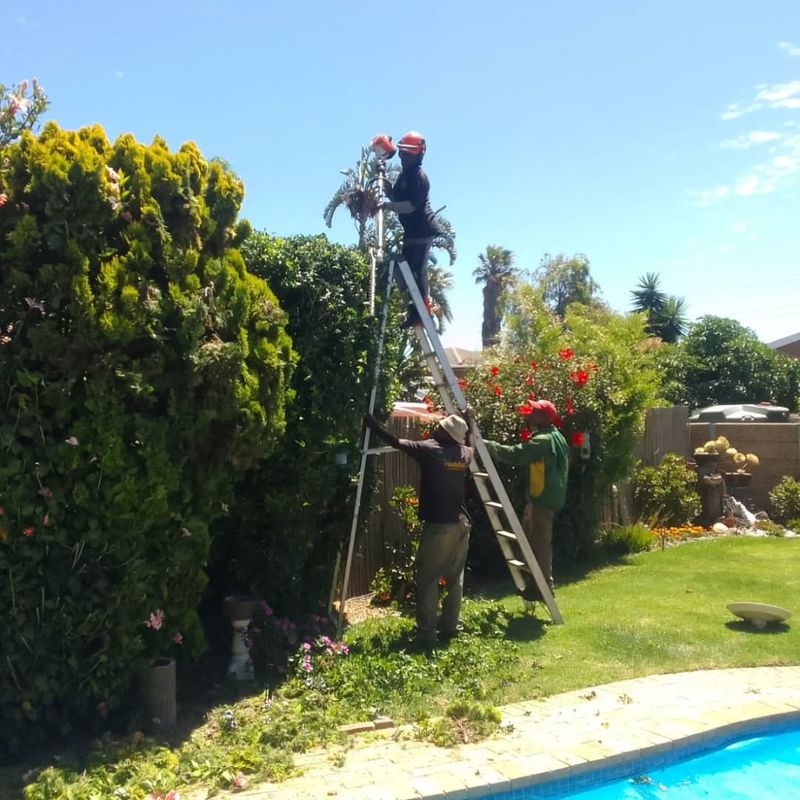 Avoiding Common Mistakes That Lead To Lawsuits