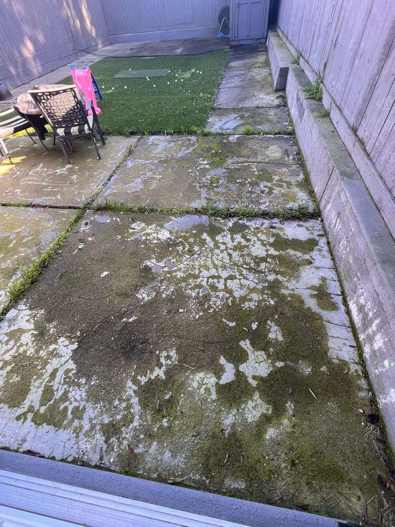 Why Lawns, Patios, And Beds Are Most At Risk