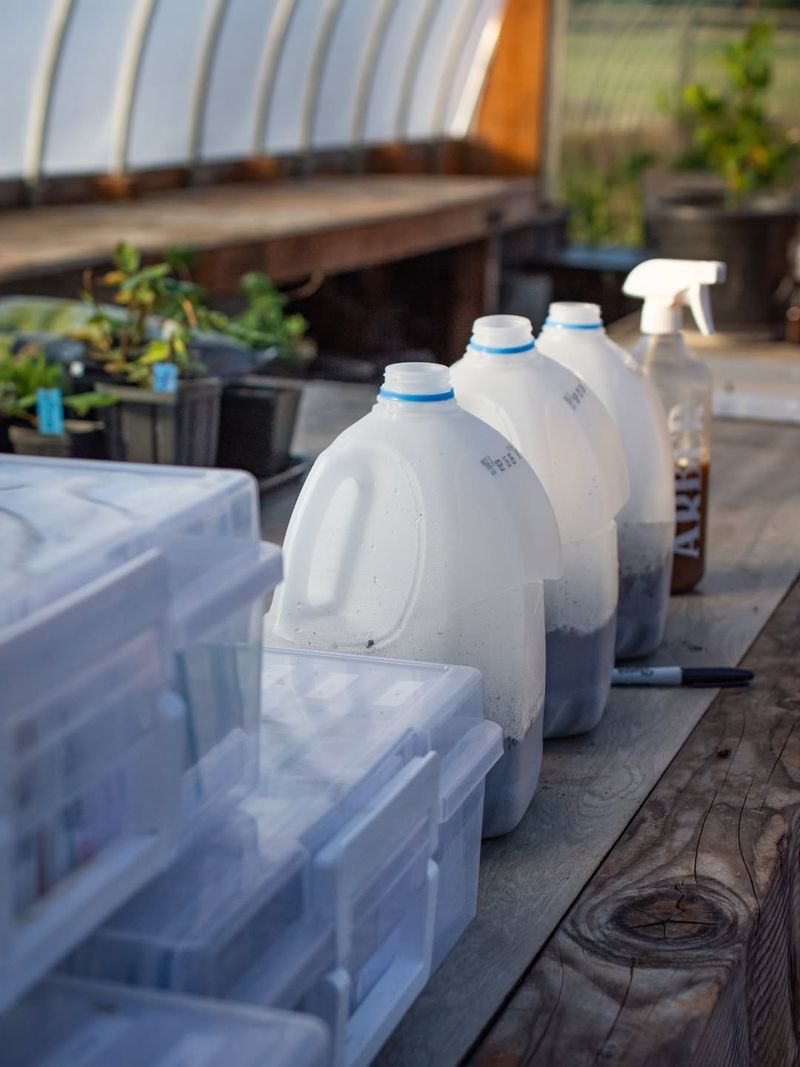 Watering Without Overdoing It