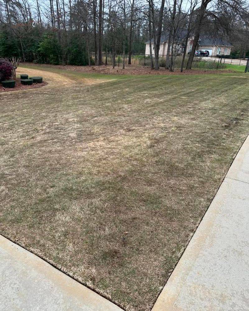 How Temperature Triggers Color Changes