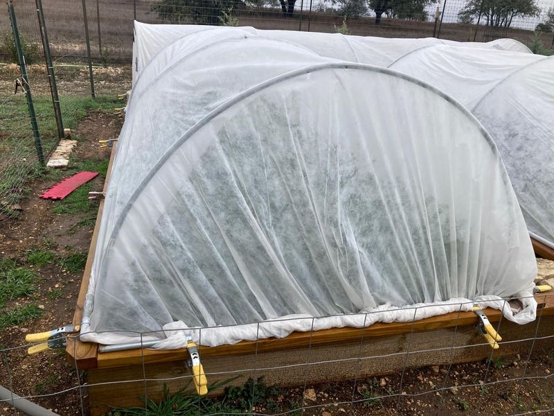 How To Protect In-Ground Plants Before Temperatures Drop