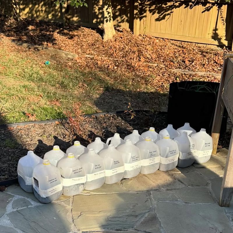 Simple Container Setup Anyone Can Use