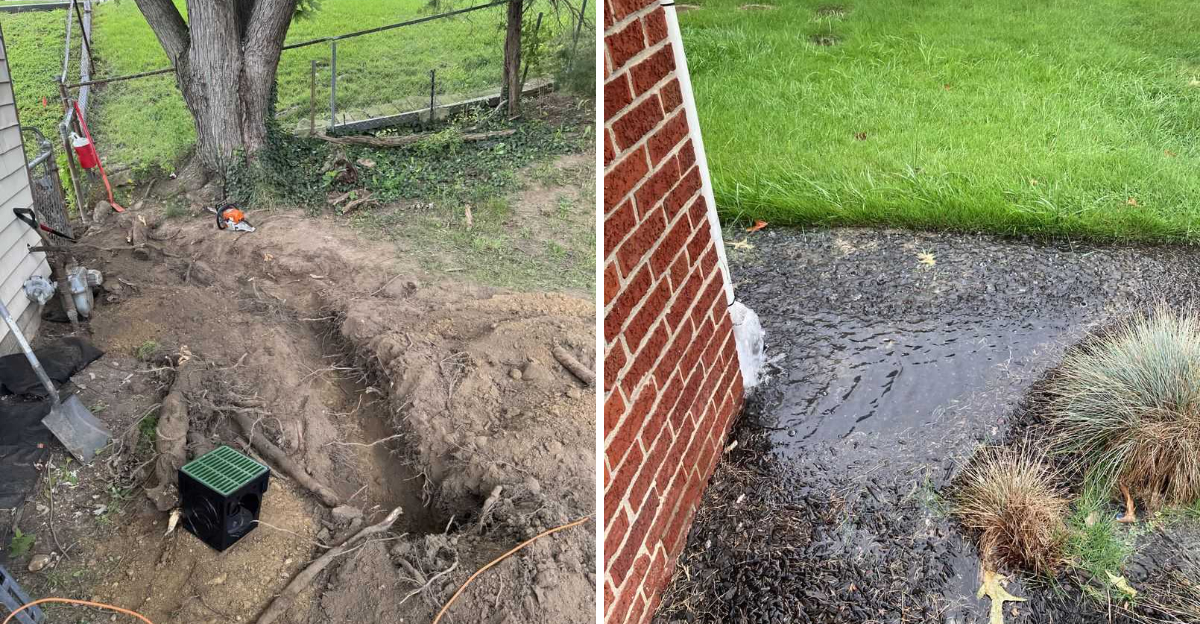 tree roots near pipes and flooding next to home