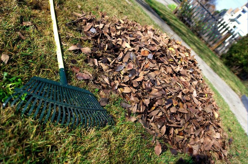 What New Jersey Law Says About Cleaning Up Fallen Leaves