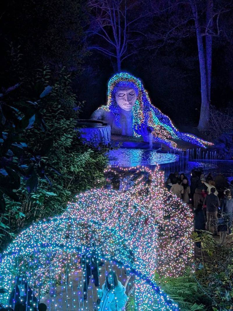 Why The Botanical Garden Created A Holiday-Themed Event