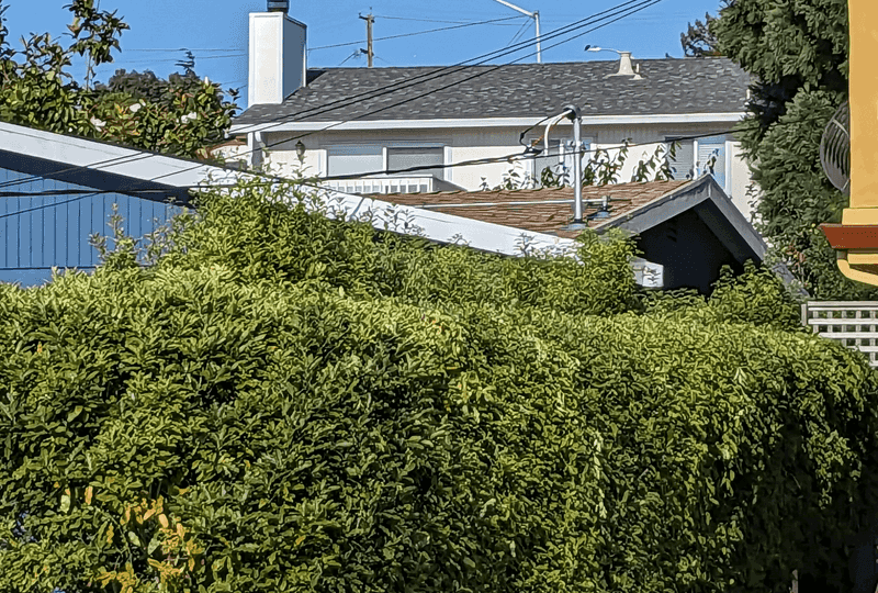 How Pennsylvania Treats Damage To Hedges As Property Loss