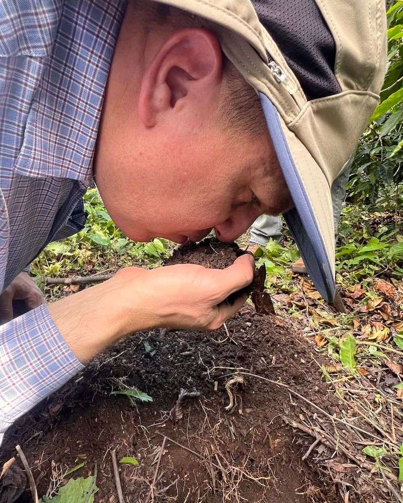 When Garden Smells Start Getting Out Of Hand