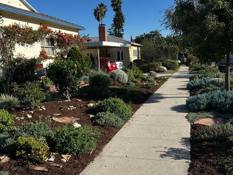 How This Simple Reset Keeps Beds From Looking Overgrown Too Fast