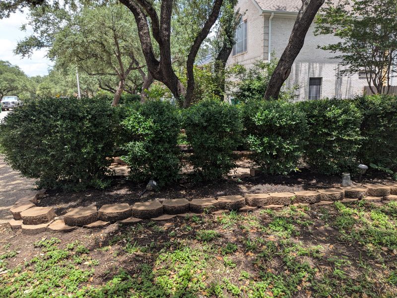 Situations Where Cutting Back Can Create Disputes