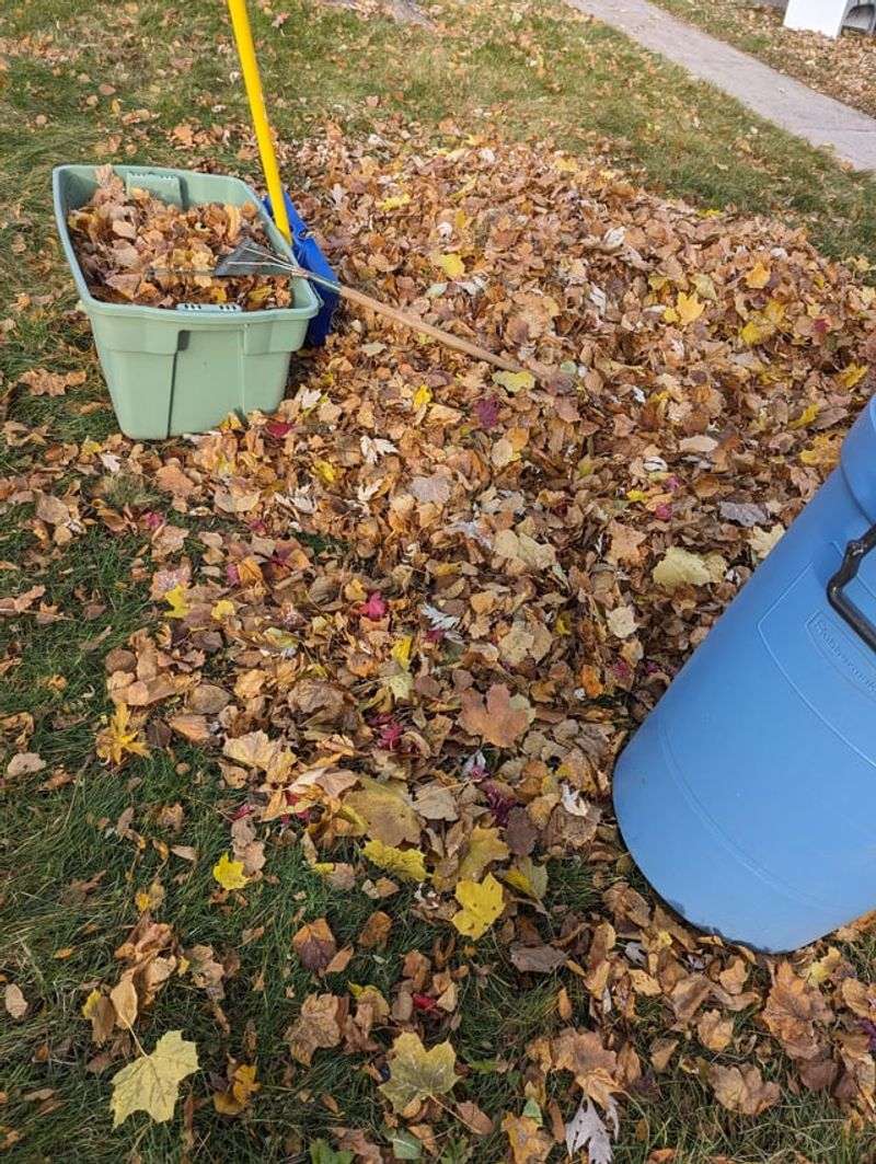 When Professional Or Legal Guidance Makes Sense