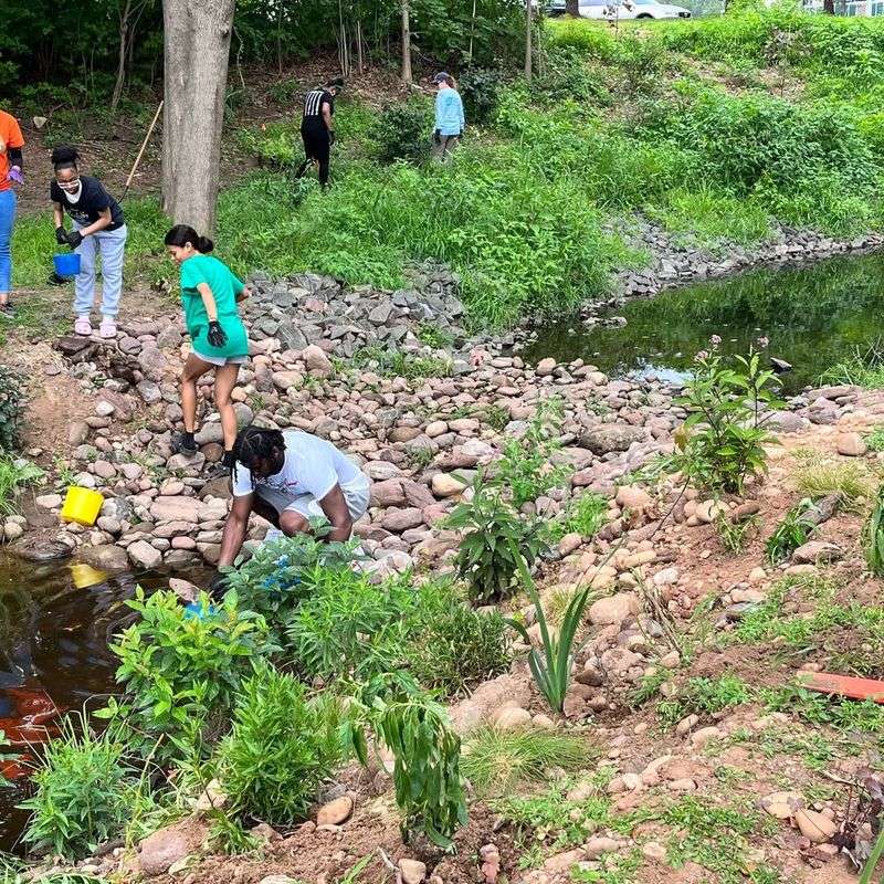 Youth Leadership Is Driving The Nursery's Rapid Growth