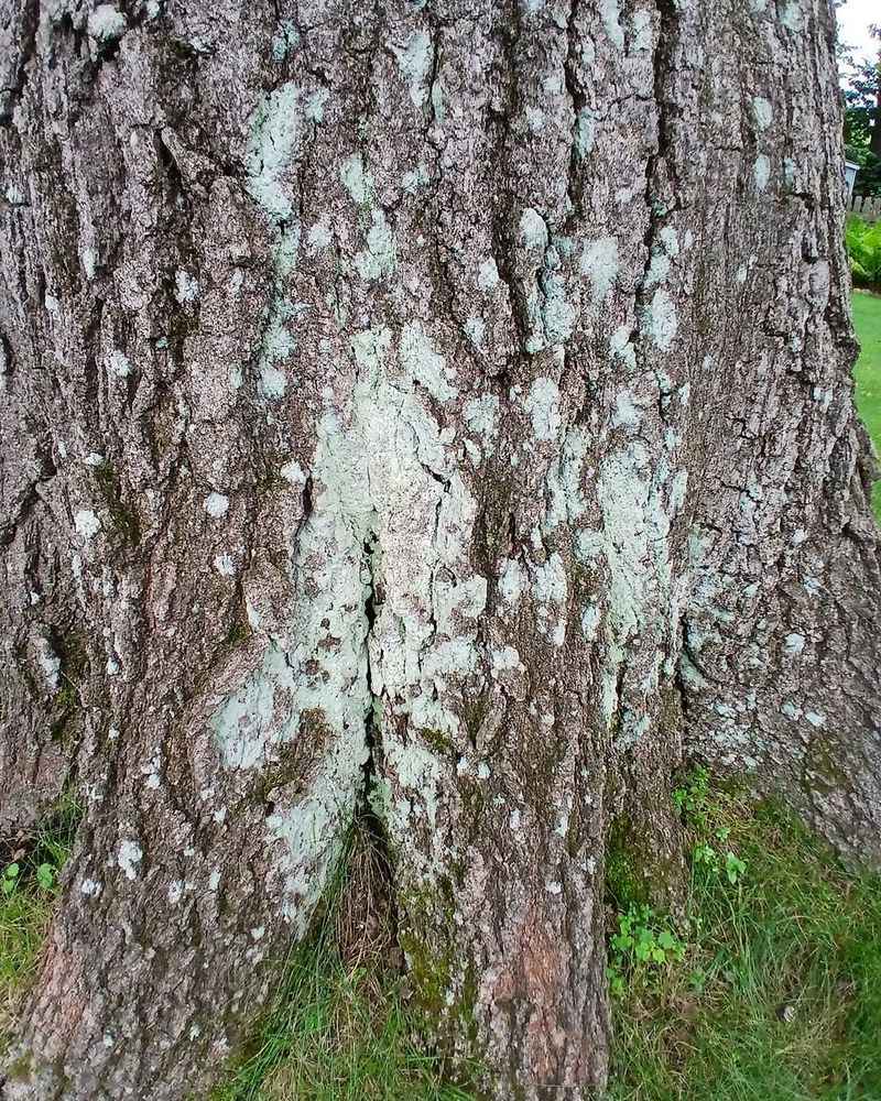 What These Marks Look Like Up Close