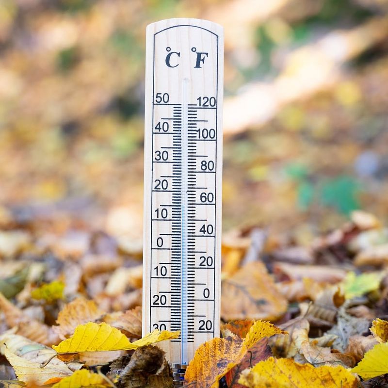 The Temperature Threshold That Actually Matters