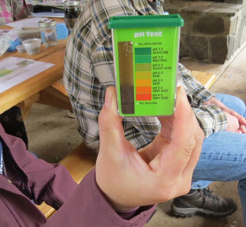 Understanding Nutrient Levels Before Spring Planting