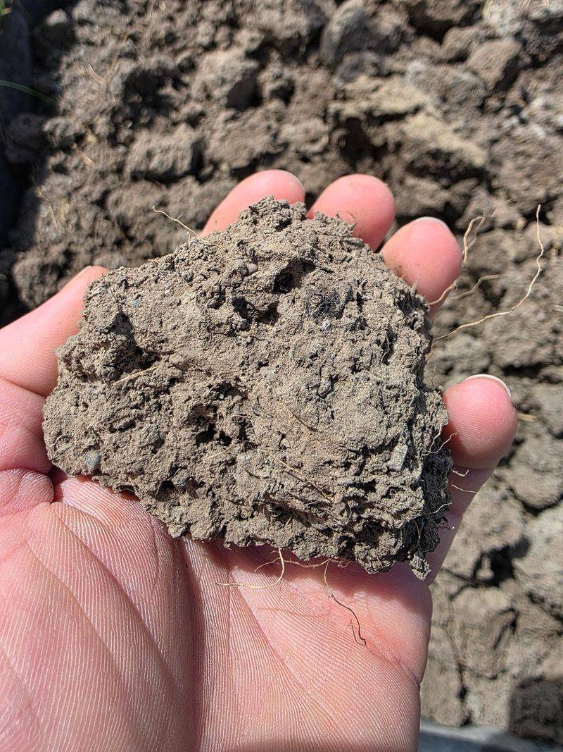Florida's Soil Isn't What It Used To Be
