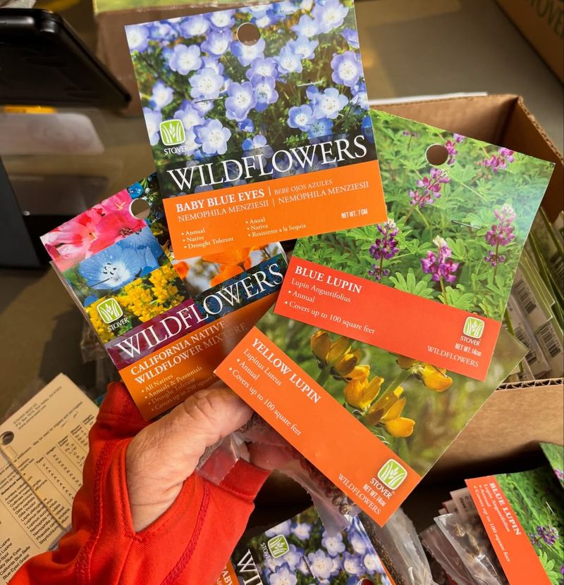 The Tiny Budget Upgrade Making A Huge Visual Impact