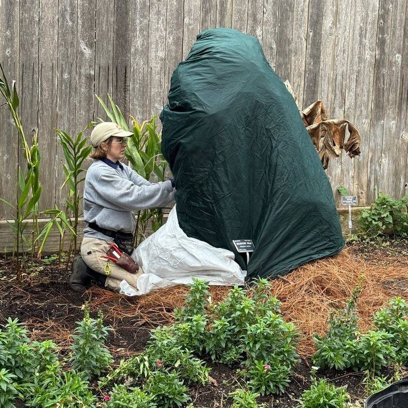 Why South Florida Planting Advice Does Not Always Work Here