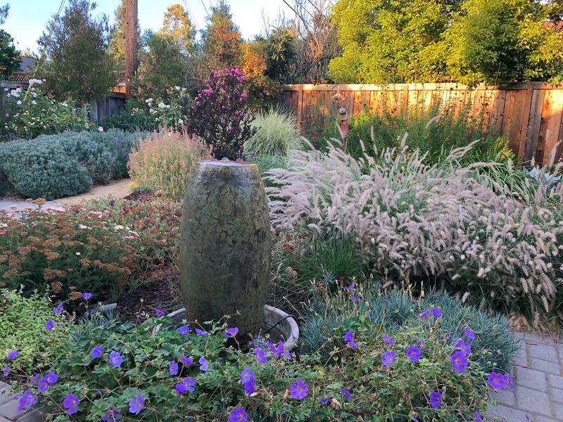 Long-Term Benefits Of Lower Water Plantings