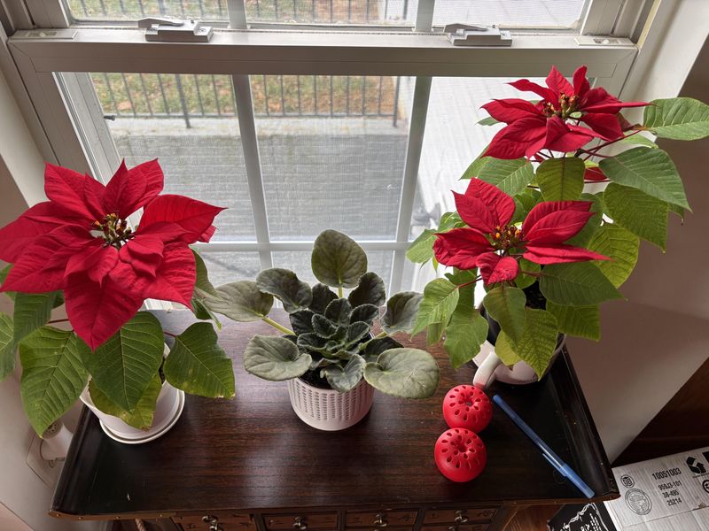 Brutal Indoor Dryness From Furnace Heat