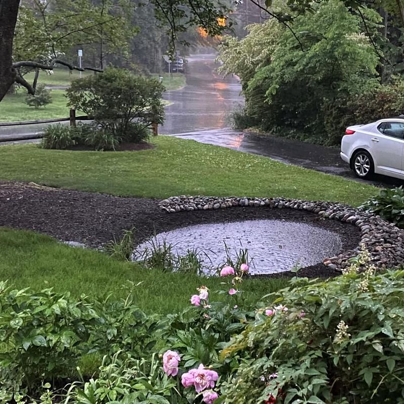 Managing Stormwater Naturally