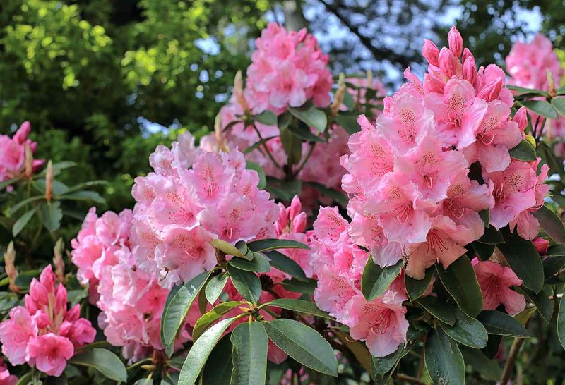 Timing Of Cool Spring Temperatures