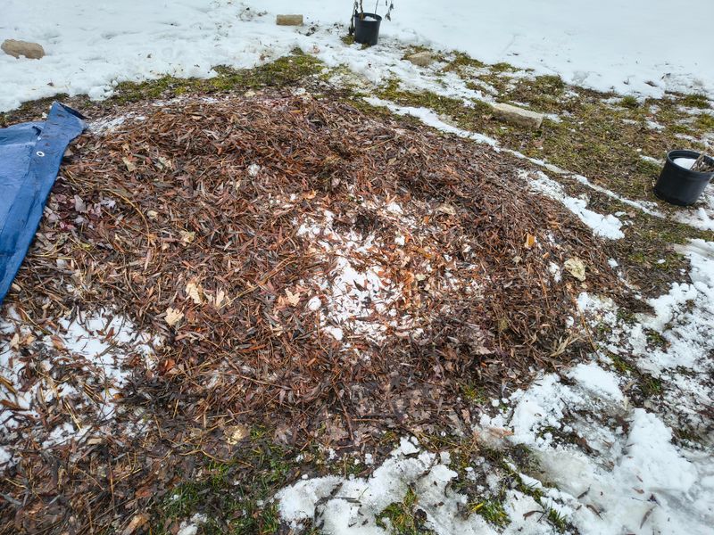 How Winter Moisture Turns Piles Into Problems