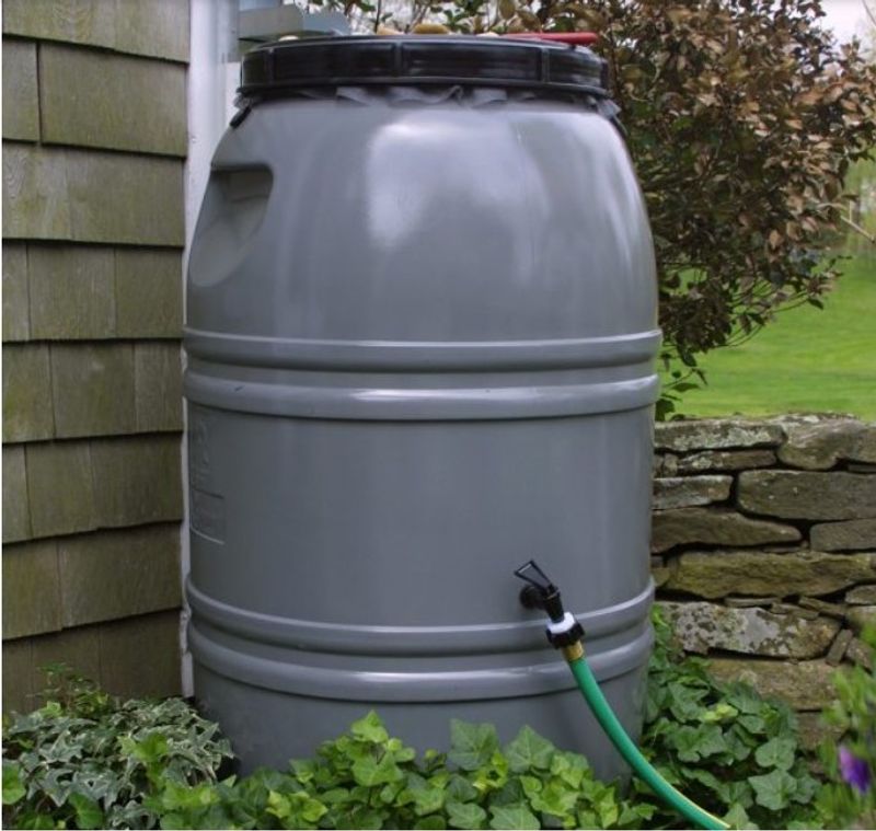 Where Homeowners Usually Place Rain Barrels on Their Property