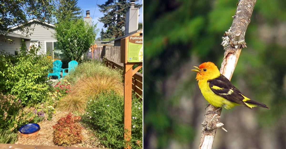 migrating birds oregon