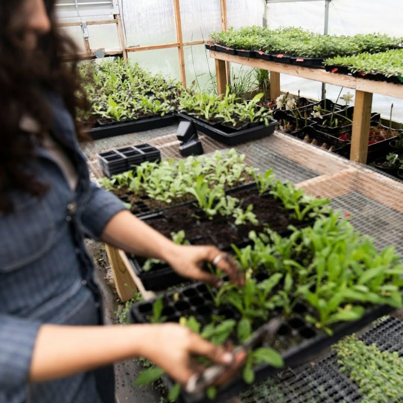 Longer Growing Season Means Stronger Plants