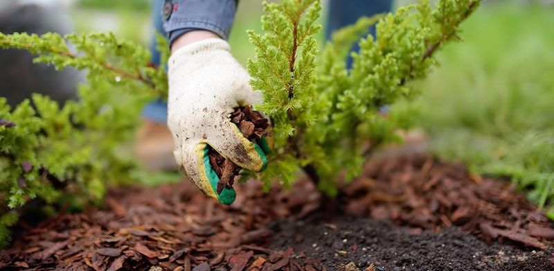 How Oregon's Wet Climate Makes This Mistake Worse