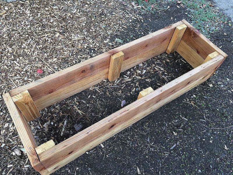 The Right Raised Bed Size And Height For Florida Gardens