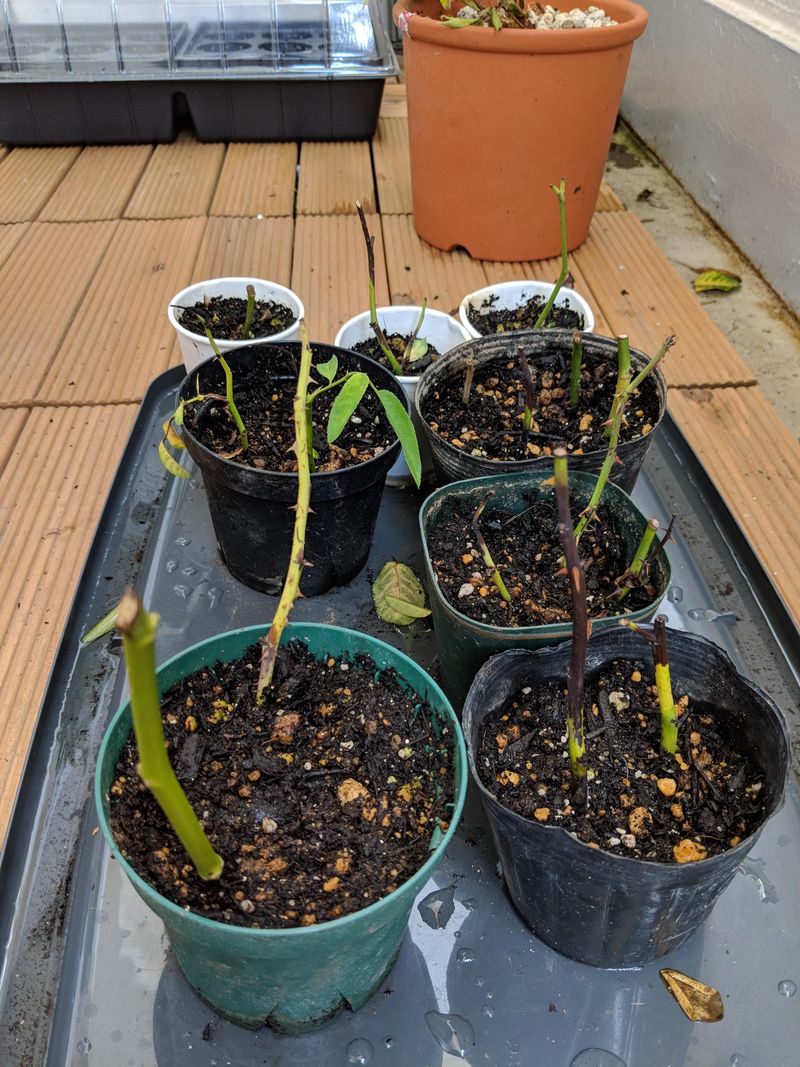 Soil And Moisture Factors That Matter Right Now